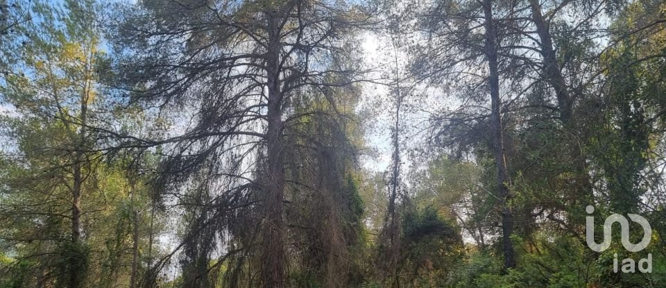 Terrain de 195 000 m² à Amposta (43870)