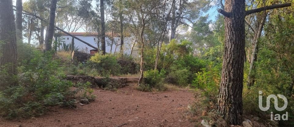 Terrain de 195 000 m² à Amposta (43870)