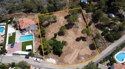 Building plot of 1,986 m² in Costa Nova (03738)