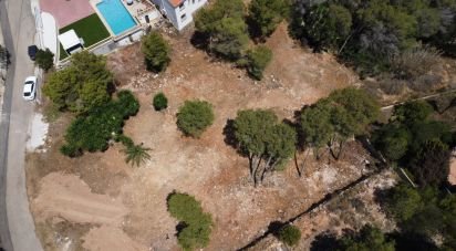 Building plot of 1,986 m² in Costa Nova (03738)