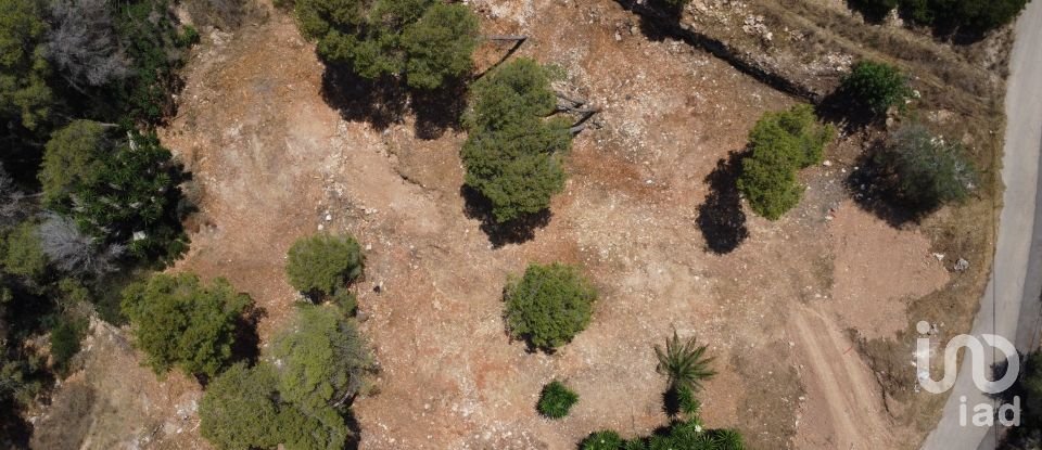 Building plot of 1,986 m² in Costa Nova (03738)