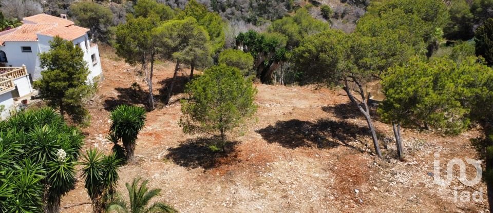 Building plot of 1,986 m² in Costa Nova (03738)