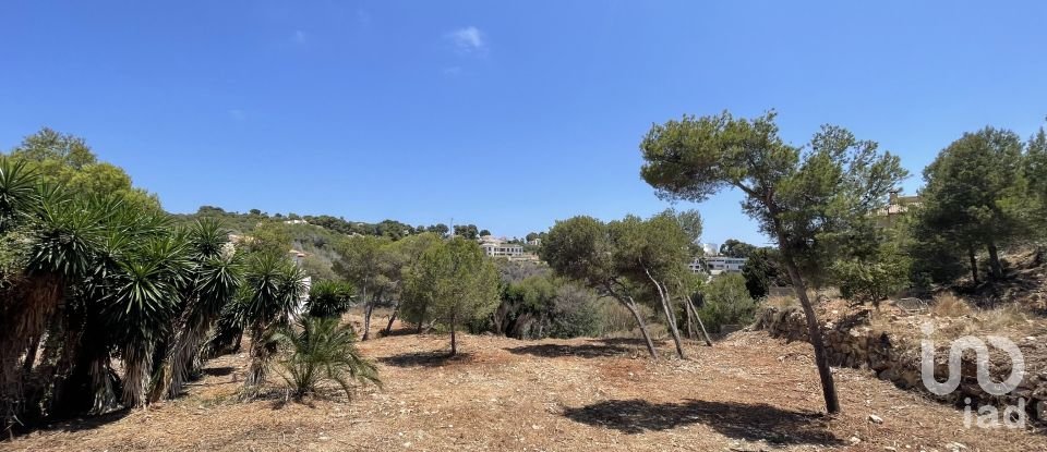 Building plot of 1,986 m² in Costa Nova (03738)