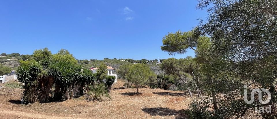 Building plot of 1,986 m² in Costa Nova (03738)