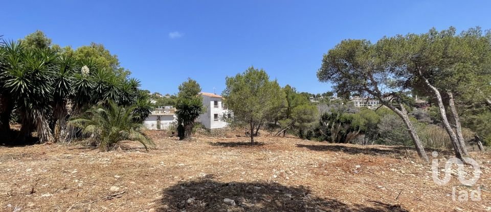 Building plot of 1,986 m² in Costa Nova (03738)