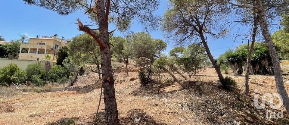 Building plot of 1,986 m² in Costa Nova (03738)