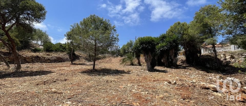 Building plot of 1,986 m² in Costa Nova (03738)