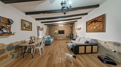 Domaine 4 bedrooms of 603 m² in Pinar de Los Franceses (11138)