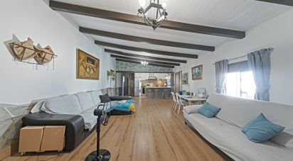 Domaine 4 bedrooms of 603 m² in Pinar de Los Franceses (11138)