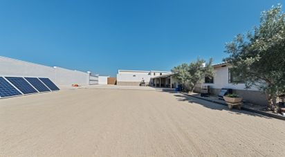 Domaine 4 bedrooms of 603 m² in Pinar de Los Franceses (11138)