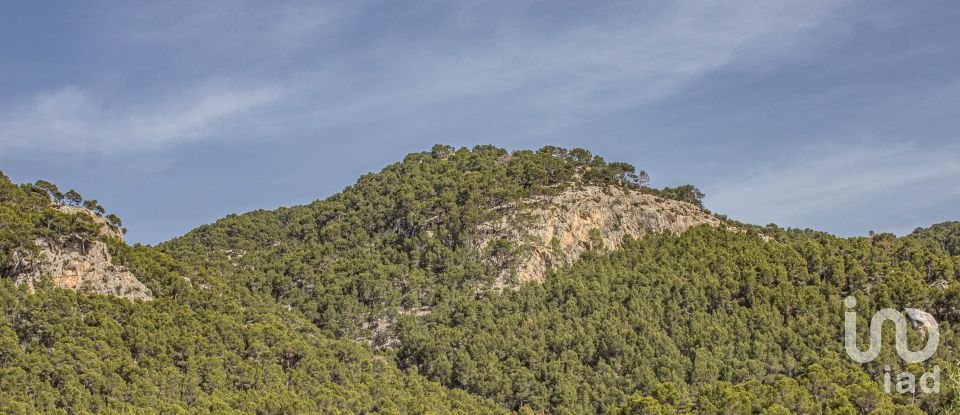 Casa rústica 2 habitaciones de 260 m² en Andratx (07150)