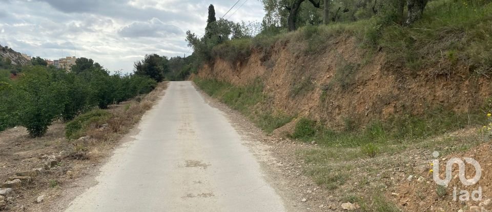 Terreny de 4.530 m² a Castellvell del Camp (43392)