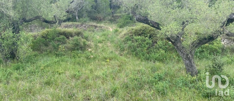 Terreny de 4.530 m² a Castellvell del Camp (43392)