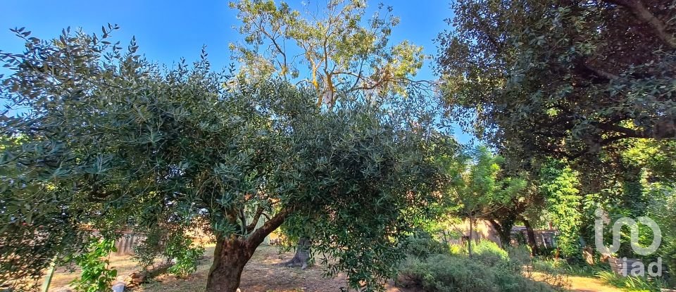 Casa 3 habitaciones de 177 m² en Navata (17744)