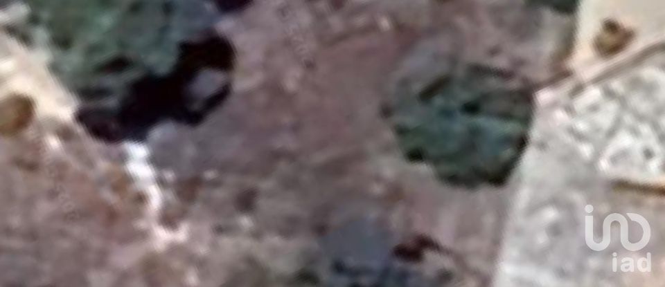 Terrain de 624 m² à Alcover (43460)