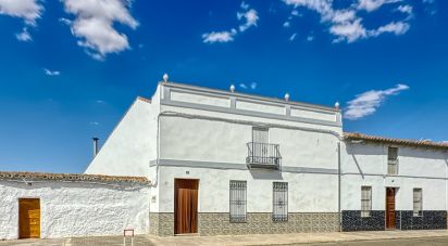 Village house 3 bedrooms of 318 m² in Granja de Torrehermosa (06910)