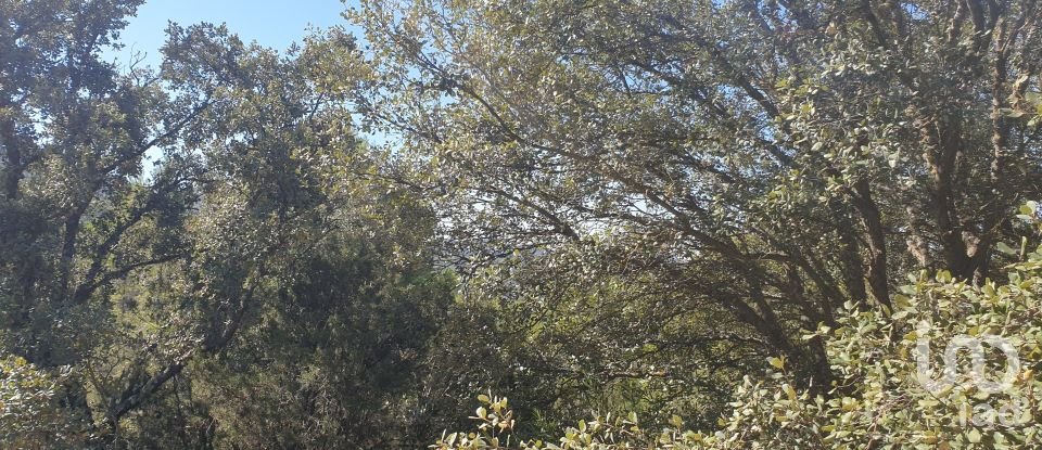 Country home 5 bedrooms of 364 m² in Sacedón (19120)