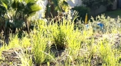 Land of 1,233 m² in Tordera (08490)