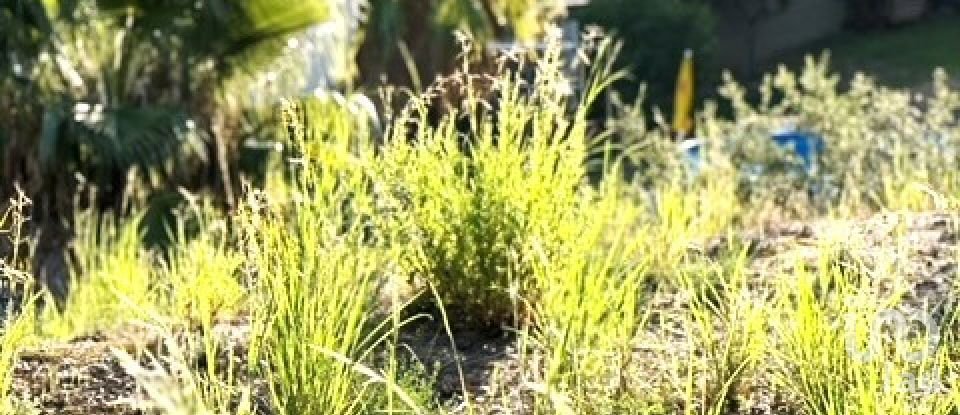 Land of 1,233 m² in Tordera (08490)