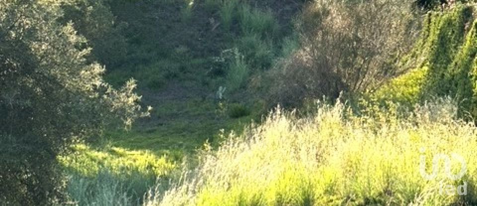 Land of 1,233 m² in Tordera (08490)