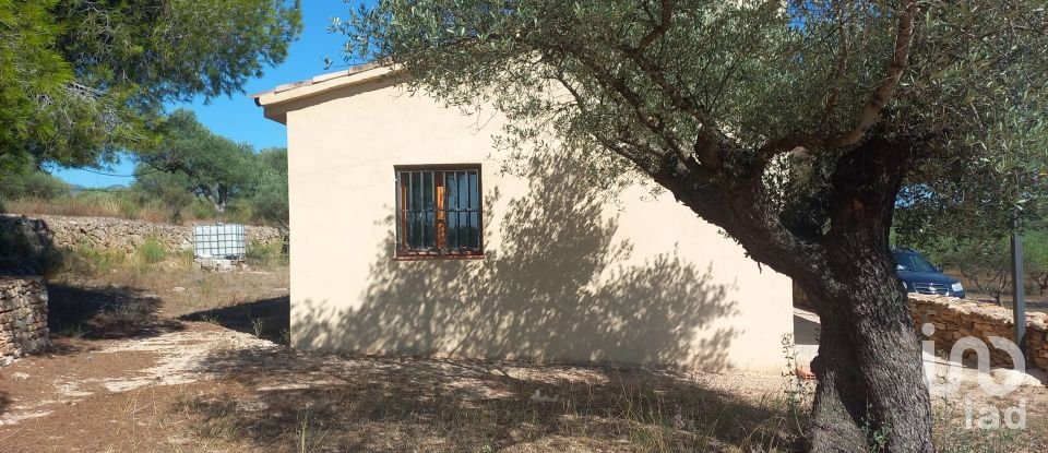 Land of 46,791 m² in Ginestar (43748)