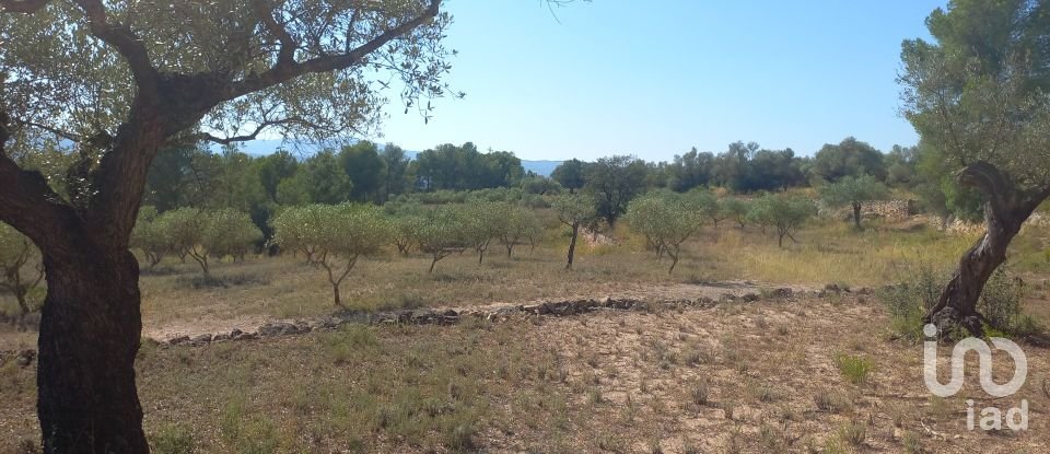 Land of 46,791 m² in Ginestar (43748)