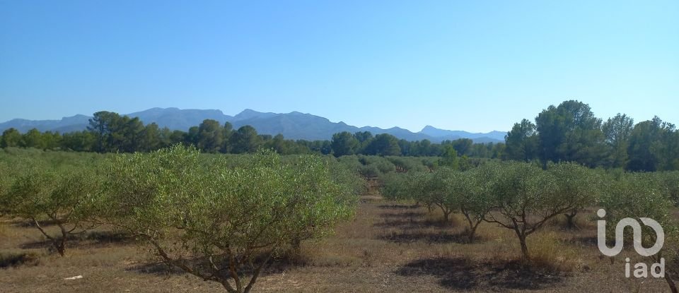 Land of 46,791 m² in Ginestar (43748)
