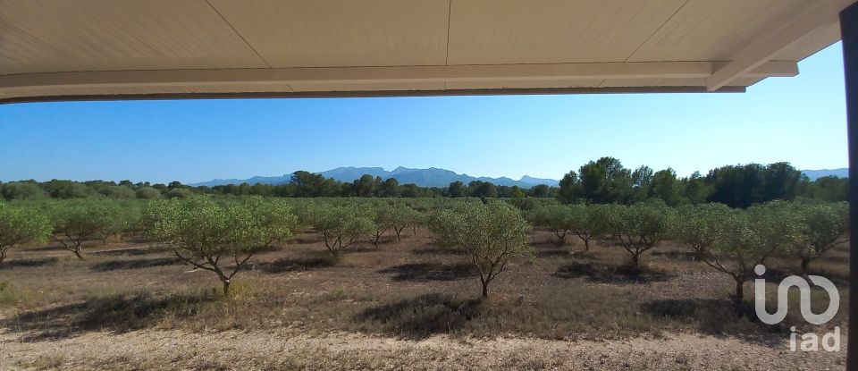 Land of 46,791 m² in Ginestar (43748)