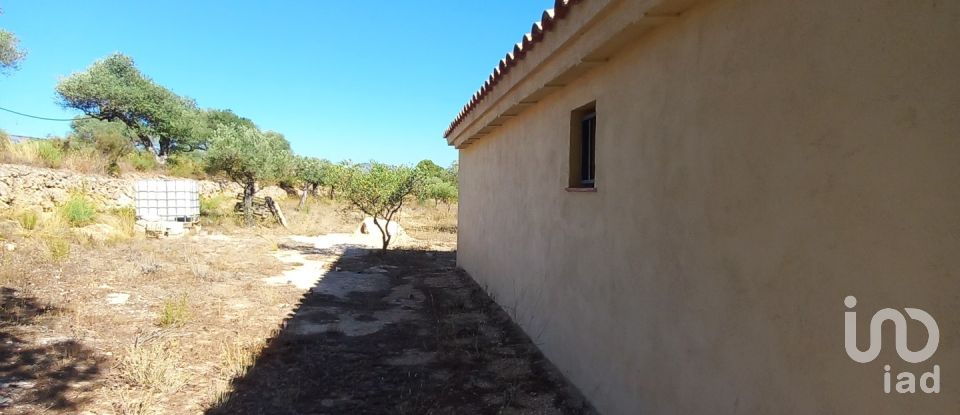 Land of 46,791 m² in Ginestar (43748)