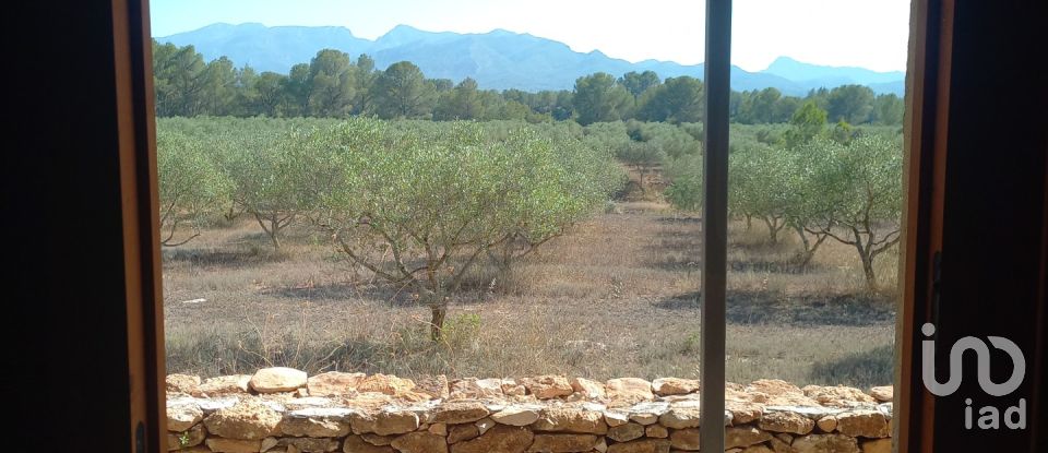 Land of 46,791 m² in Ginestar (43748)