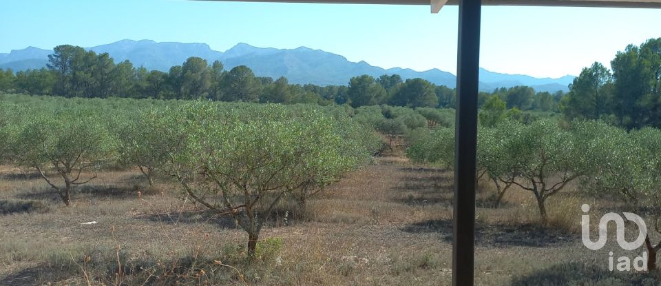 Land of 46,791 m² in Ginestar (43748)