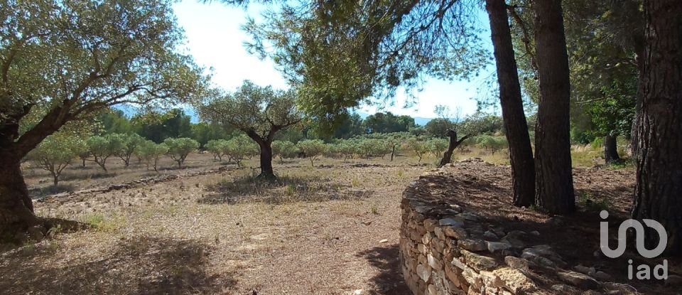 Land of 46,791 m² in Ginestar (43748)
