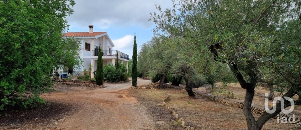 Maison rustique 2 chambres de 168 m² à Sant Carles de La Rapita (43540)