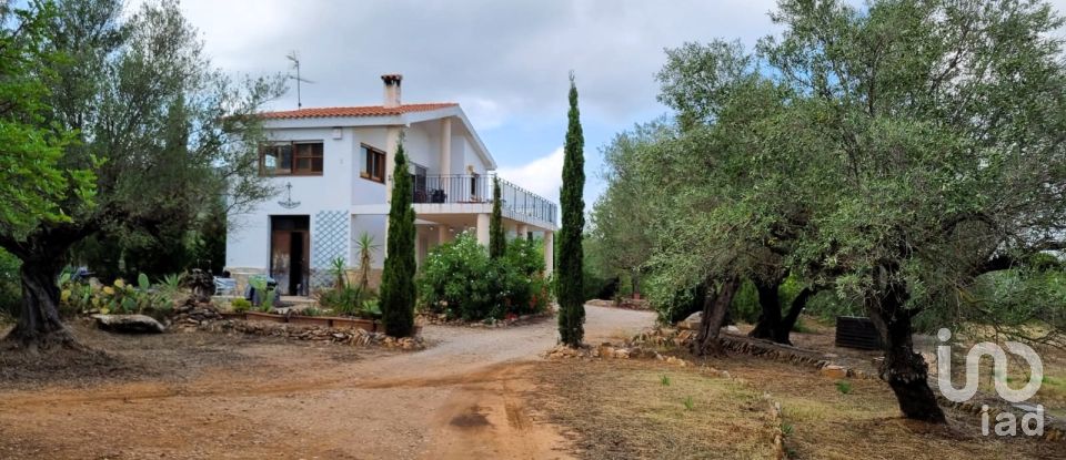Maison rustique 2 chambres de 168 m² à Sant Carles de La Rapita (43540)