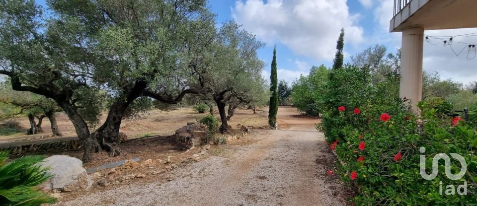 Maison rustique 2 chambres de 168 m² à Sant Carles de La Rapita (43540)