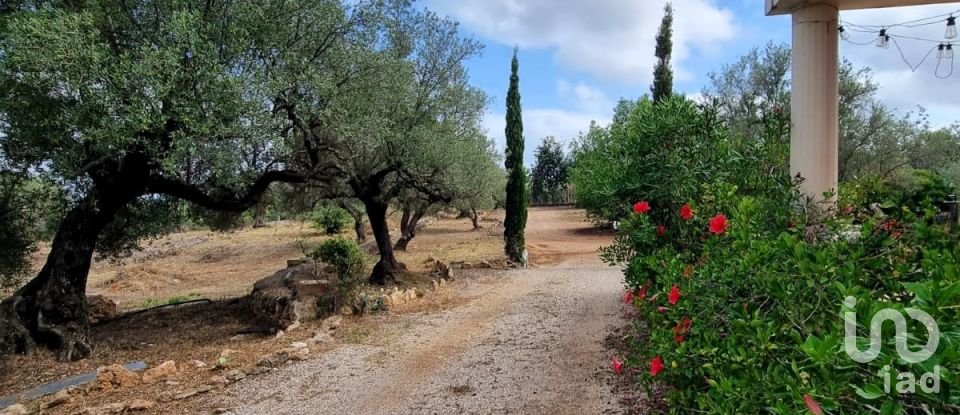 Maison rustique 2 chambres de 168 m² à Sant Carles de La Rapita (43540)