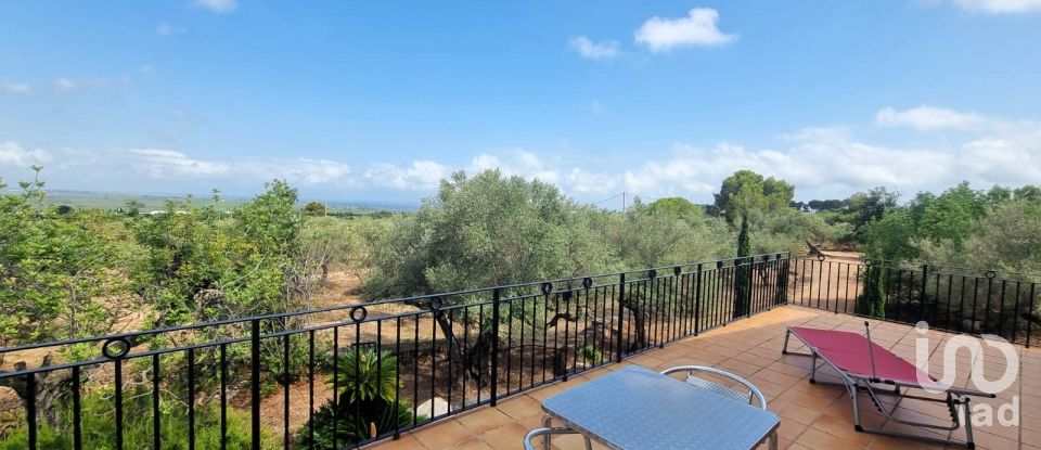 Maison rustique 2 chambres de 168 m² à Sant Carles de La Rapita (43540)