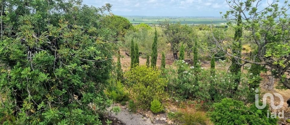 Maison rustique 2 chambres de 168 m² à Sant Carles de La Rapita (43540)