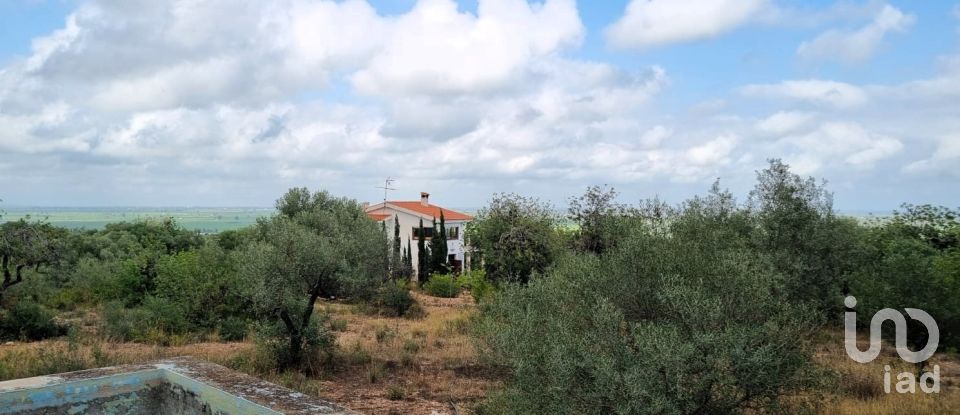 Maison rustique 2 chambres de 168 m² à Sant Carles de La Rapita (43540)