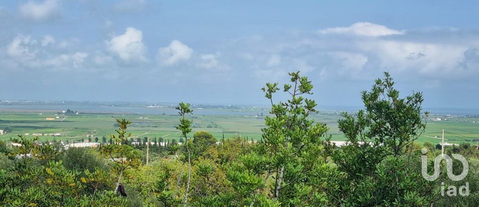 Maison rustique 2 chambres de 168 m² à Sant Carles de La Rapita (43540)
