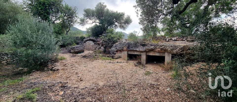 Maison rustique 2 chambres de 168 m² à Sant Carles de La Rapita (43540)
