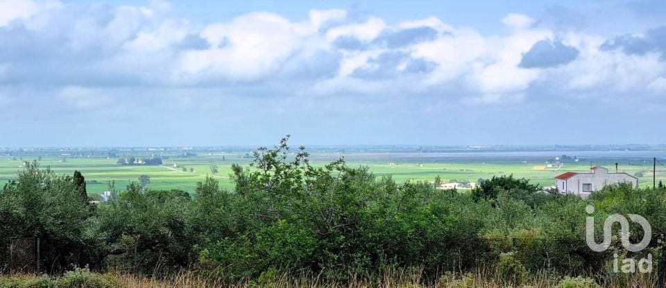 Maison rustique 2 chambres de 168 m² à Sant Carles de La Rapita (43540)
