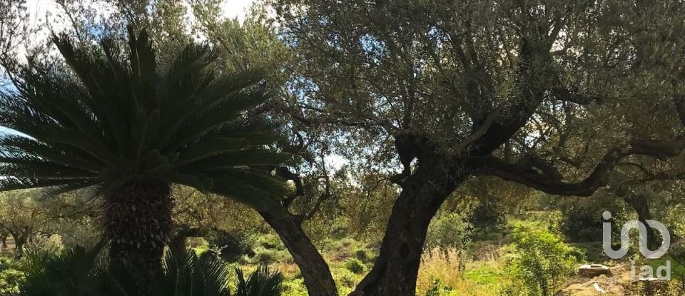 Maison rustique 2 chambres de 168 m² à Sant Carles de La Rapita (43540)