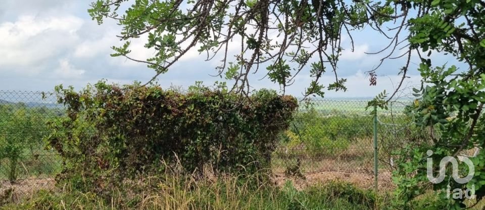 Maison rustique 2 chambres de 168 m² à Sant Carles de La Rapita (43540)