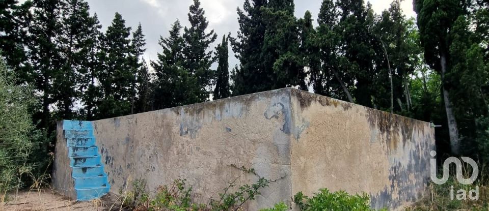 Maison rustique 2 chambres de 168 m² à Sant Carles de La Rapita (43540)