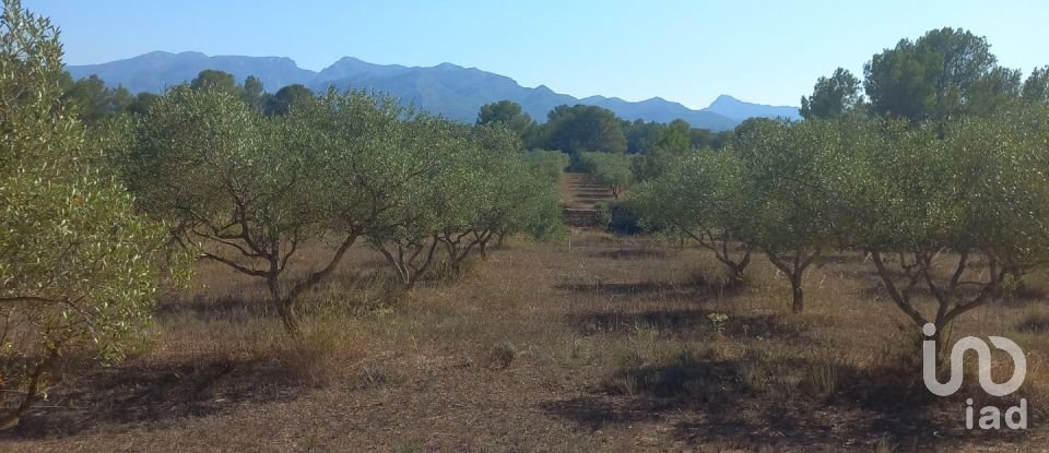 Land of 46,791 m² in Ginestar (43748)