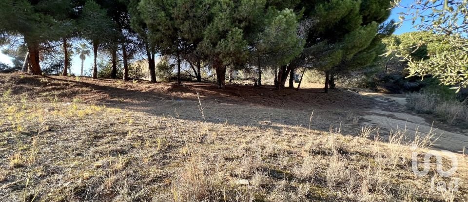 Terreno urbano de 629 m² en Arenys de Mar (08350)