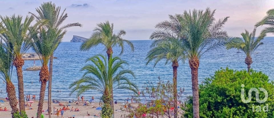 Piso 3 habitaciones de 55 m² en Benidorm (03501)