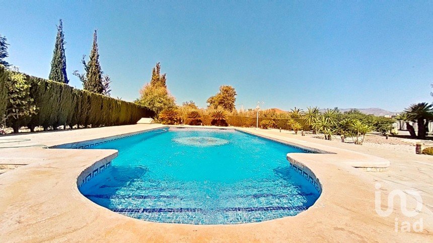 Cottage 4 bedrooms of 313 m² in Elx/Elche (03296)