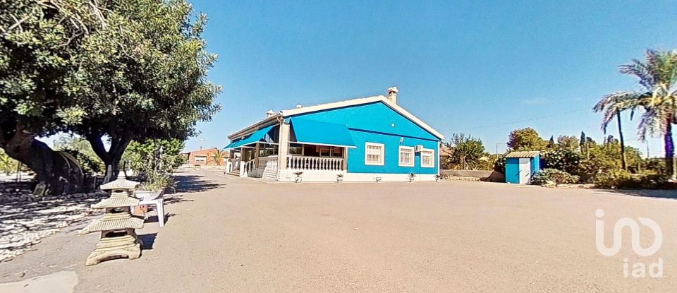 Cottage 4 bedrooms of 313 m² in Elx/Elche (03296)